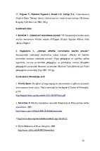 Diplomdarbs 'Mūzikas terapijas ietekme insulta pacientiem valodas un atmiņas traucējumu mazin', 74.