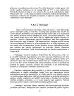 Referāts 'Kredīta būtība un nepieciešamība', 13.