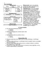 Konspekts 'Grāmatvedības pamatu konspekts', 10.