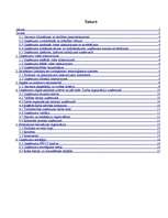 Prakses atskaite 'Kvalifikācijas prakses atskaite uzņēmējdarbībā DUS "Dinaz"', 2.