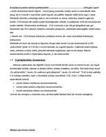 Prakses atskaite 'Kvalifikācijas prakses atskaite uzņēmējdarbībā DUS "Dinaz"', 7.