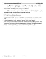 Prakses atskaite 'Kvalifikācijas prakses atskaite uzņēmējdarbībā DUS "Dinaz"', 8.