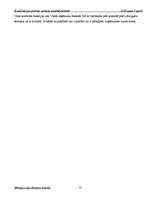 Prakses atskaite 'Kvalifikācijas prakses atskaite uzņēmējdarbībā DUS "Dinaz"', 12.