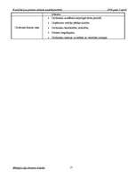 Prakses atskaite 'Kvalifikācijas prakses atskaite uzņēmējdarbībā DUS "Dinaz"', 17.