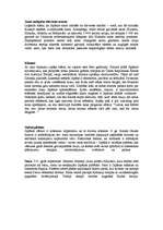 Referāts 'Japāna no pagātnes līdz mūsdienām', 2.