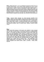 Referāts 'Japāna no pagātnes līdz mūsdienām', 3.