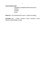 Referāts 'Sākumskolas skolēnu mācību motivācijas veidošanas paņēmieni', 5.