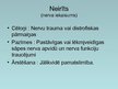 Prezentācija 'Nervu sistēmas slimības un profilakse', 3.