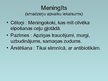 Prezentācija 'Nervu sistēmas slimības un profilakse', 4.