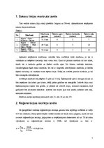 Referāts 'Sakaru līnijas "Tērvete - Jelgava" projekts', 7.