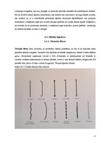 Diplomdarbs 'Magnētiskā lauka iedarbība uz fibrobetonu', 17.