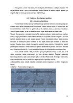 Diplomdarbs 'Magnētiskā lauka iedarbība uz fibrobetonu', 23.