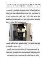 Diplomdarbs 'Magnētiskā lauka iedarbība uz fibrobetonu', 41.