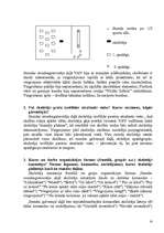Referāts 'Sporta skolotāja diplomprojekts', 14.