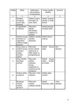 Referāts 'Sporta skolotāja diplomprojekts', 41.