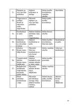 Referāts 'Sporta skolotāja diplomprojekts', 44.