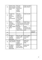 Referāts 'Sporta skolotāja diplomprojekts', 45.
