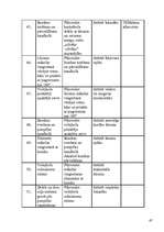 Referāts 'Sporta skolotāja diplomprojekts', 47.