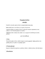 Konspekts 'Papagaiļi', 7.