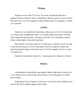 Konspekts 'Papagaiļi', 11.