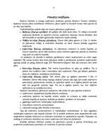 Referāts 'Uzņēmuma finansiālā stāvokļa izvērtēšana un prognozēšana', 6.