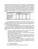 Referāts 'Uzņēmuma finansiālā stāvokļa izvērtēšana un prognozēšana', 13.