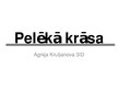 Prezentācija 'Pelēkā krāsa', 1.