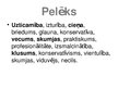 Prezentācija 'Pelēkā krāsa', 5.