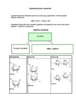 Konspekts 'Ogļhidrāti pārtikas rūpniecībā', 1.