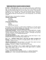 Konspekts 'Ideālā valsts tiesību filosofijā', 1.