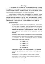 Biznesa plāns 'Nozares un produkta analīze. SIA "Ararc" autoserviss', 5.