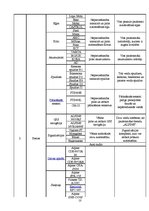 Biznesa plāns 'Nozares un produkta analīze. SIA "Ararc" autoserviss', 10.