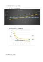Paraugs 'Mikroekonomikas 2.pārbaudes darbs', 4.