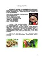 Referāts 'Itālija', 15.