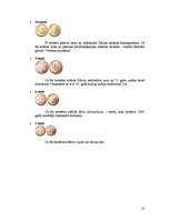 Referāts 'Itālija', 25.