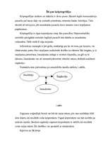 Referāts 'Publiskā atslēgšifrēšana', 2.