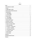 Referāts 'Galma dzīves kultūra baroka laikā', 11.