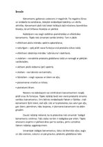 Referāts 'Pārtikas piedevas un konservēšana ar ķīmiskajām vielām', 2.