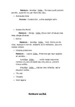 Konspekts 'Konspekts par grāmatām 9.klases literatūras kursam', 2.