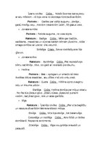 Konspekts 'Konspekts par grāmatām 9.klases literatūras kursam', 5.