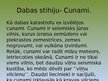 Prezentācija 'Pētījums par dabas stihiju. Cunami', 2.