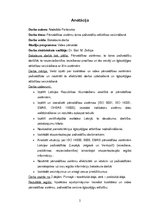 Diplomdarbs 'Pārvaldības sistēmu loma pašvaldību attīstības veicināšanā', 2.