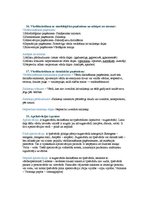 Konspekts 'Latviešu valodas kultūra', 5.