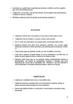 Prakses atskaite 'Prakses atskaite restorānā', 29.