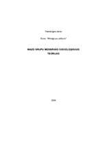 Referāts 'Mazo grupu modernās socioloģiskās teorijas', 1.