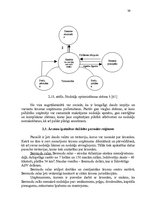 Diplomdarbs 'Ārzonu darbības analīze un to izmantošanas perspektīvas Latvijā', 39.