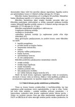 Diplomdarbs 'Ārzonu darbības analīze un to izmantošanas perspektīvas Latvijā', 46.