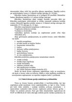 Diplomdarbs 'Ārzonu darbības analīze un to izmantošanas perspektīvas Latvijā', 46.