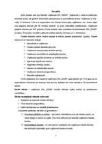 Prakses atskaite 'Finanšu analīze SIA "MMM"', 5.