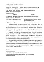 Prakses atskaite 'Uzņēmums "Credo Autoprieks"', 8.